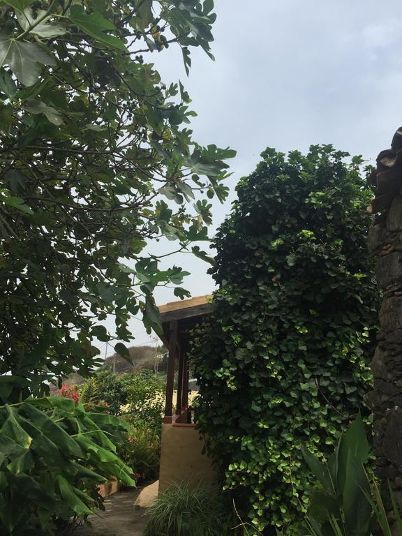 Casa Rural Las Rosas Agulo Esterno foto